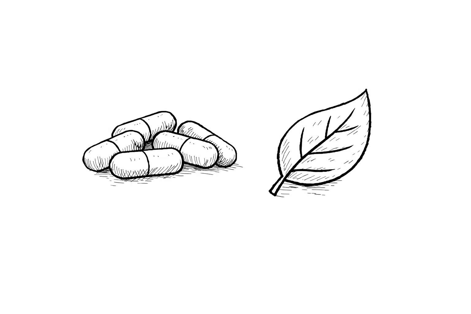 Minimalist black and white line drawing of capsules and a leaf to contrast synthetic vs natural