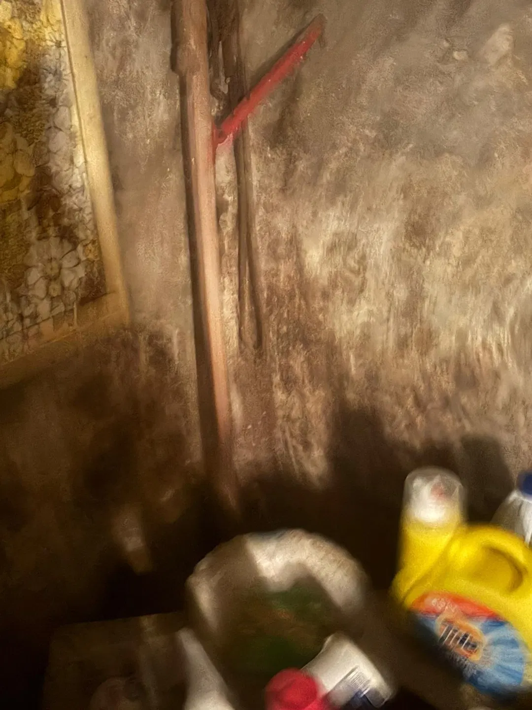 Severe black mold contamination on basement or utility room wall, likely caused by prolonged moisture or flooding