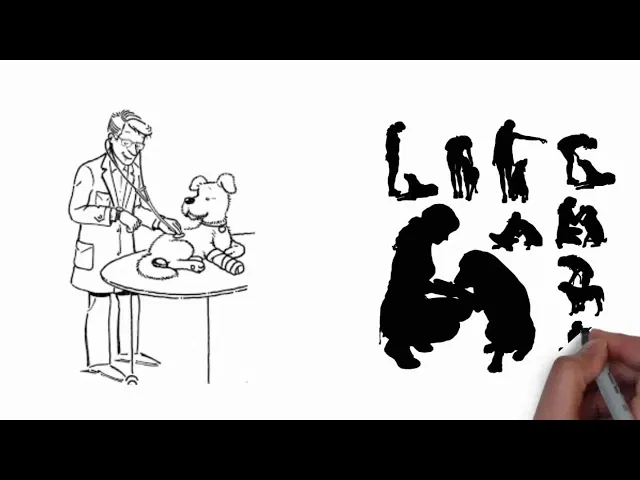 The bond between a trainer and a dog is built on trust and clear communication, especially during early development.