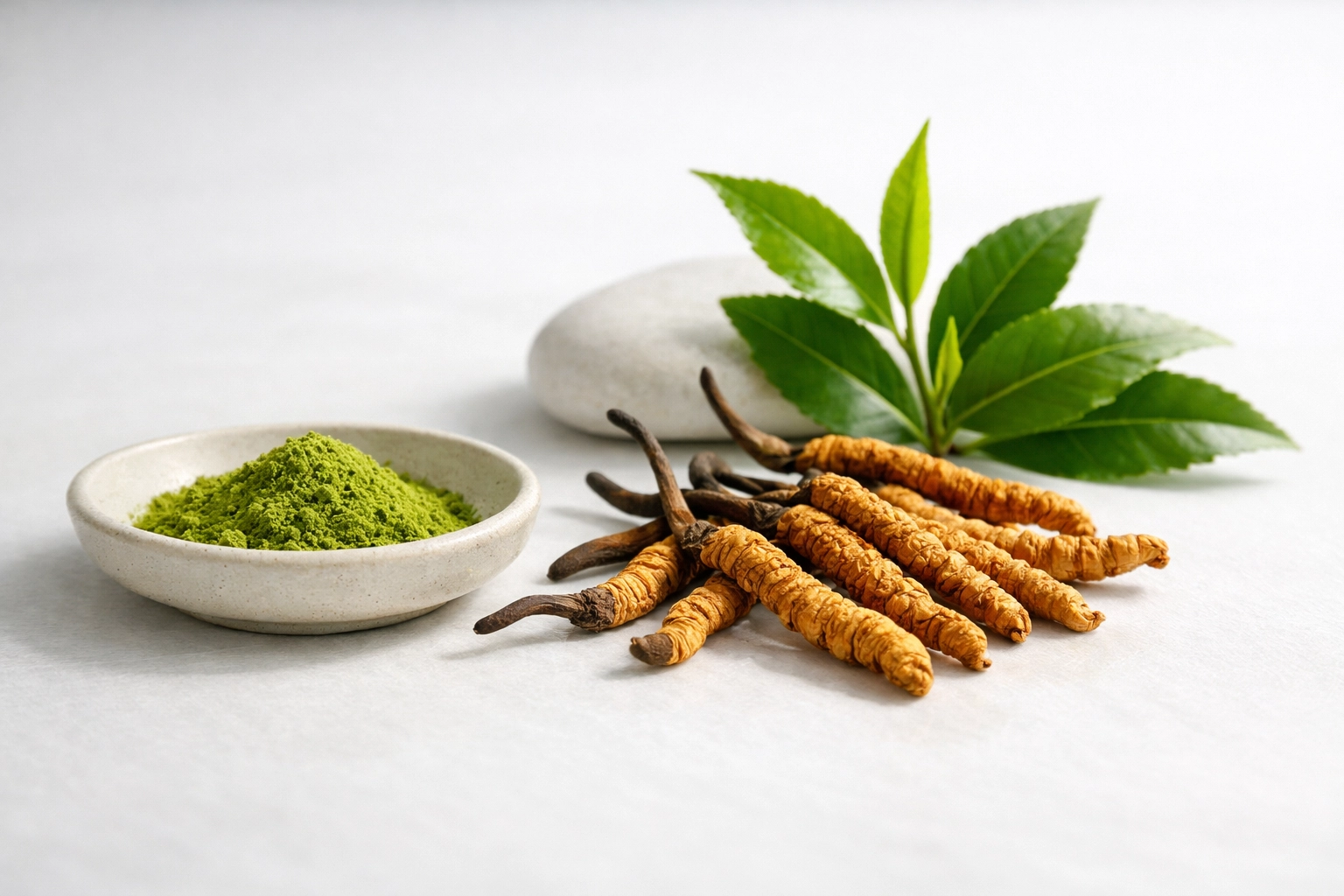 Cordyceps mushrooms and green tea leaves natural pre-workout energy supplements
