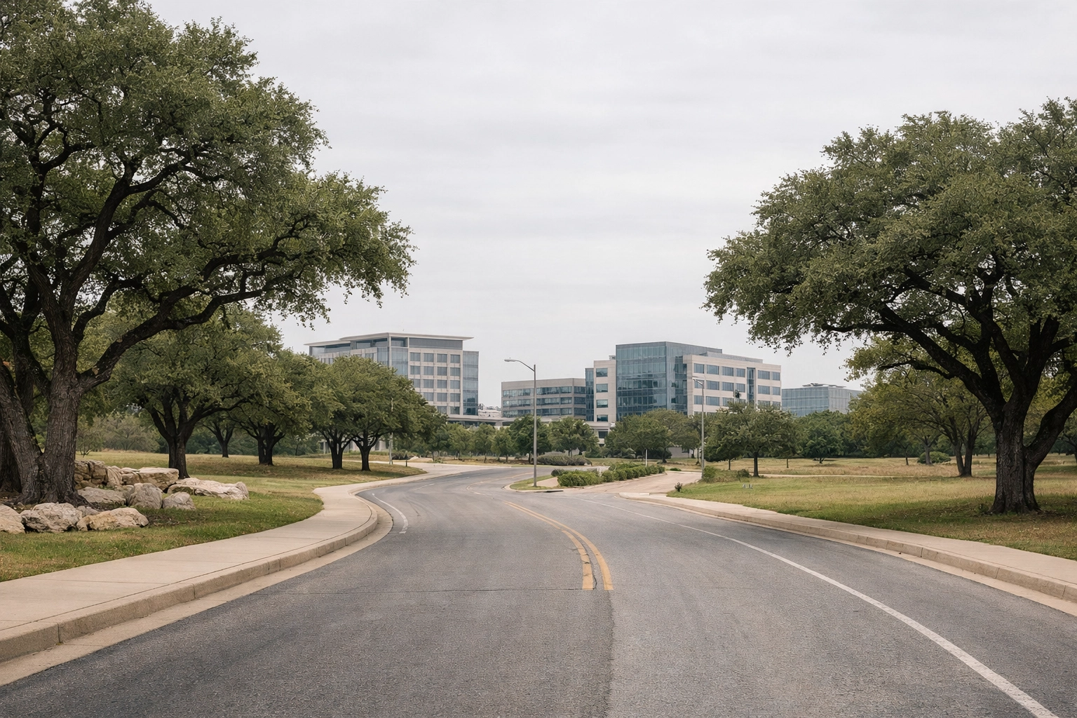 Round Rock, Texas streetscape with live oak trees and modern offices in the distance