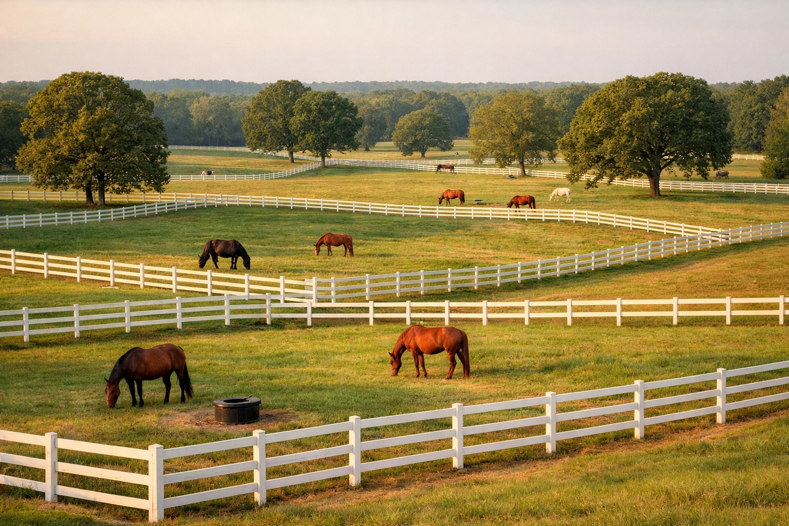 Multiple horse paddocks with white board fencing and healthy pastures on Waxhaw equestrian property