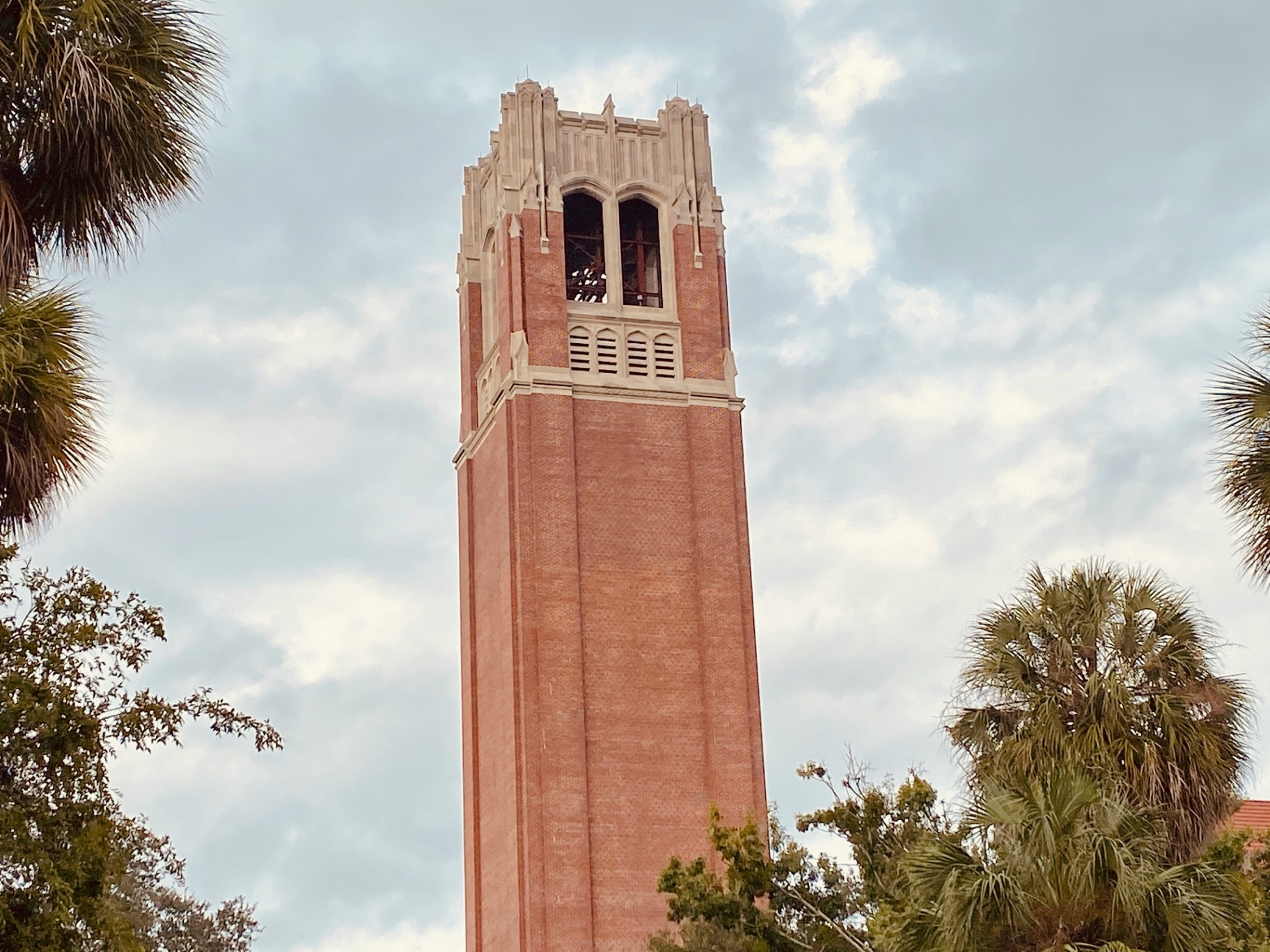 University of Florida, Gainesville