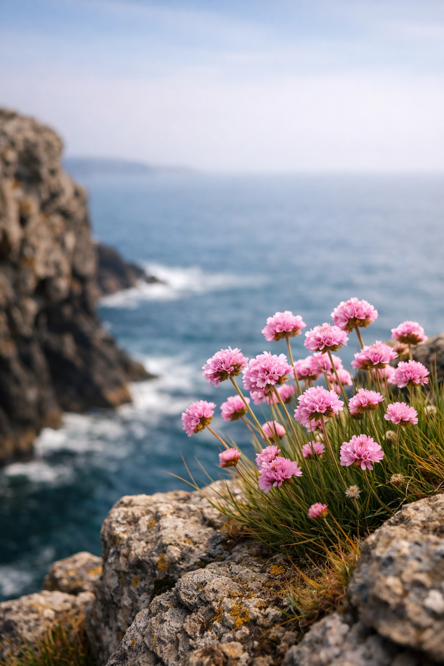 Close-up of coastal wildflowers at Polurrian Cove, Cornwall, overlooking the sea during an ashes scattering ceremony.