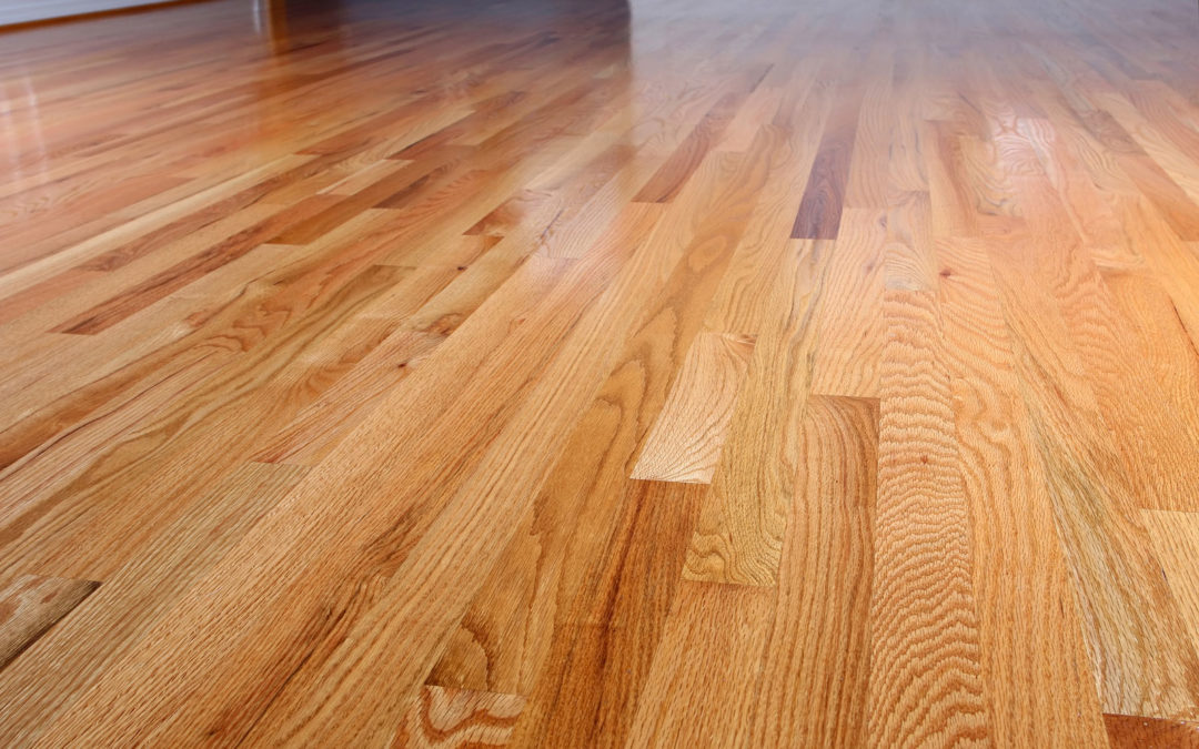 Freshly Refinished Red Oak Hardwood Flooring