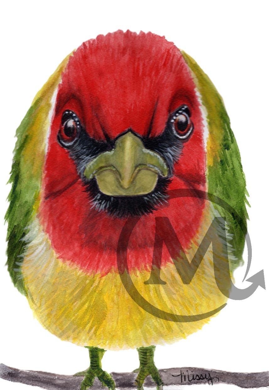 Vibrant Red Mask Parrot Watercolor