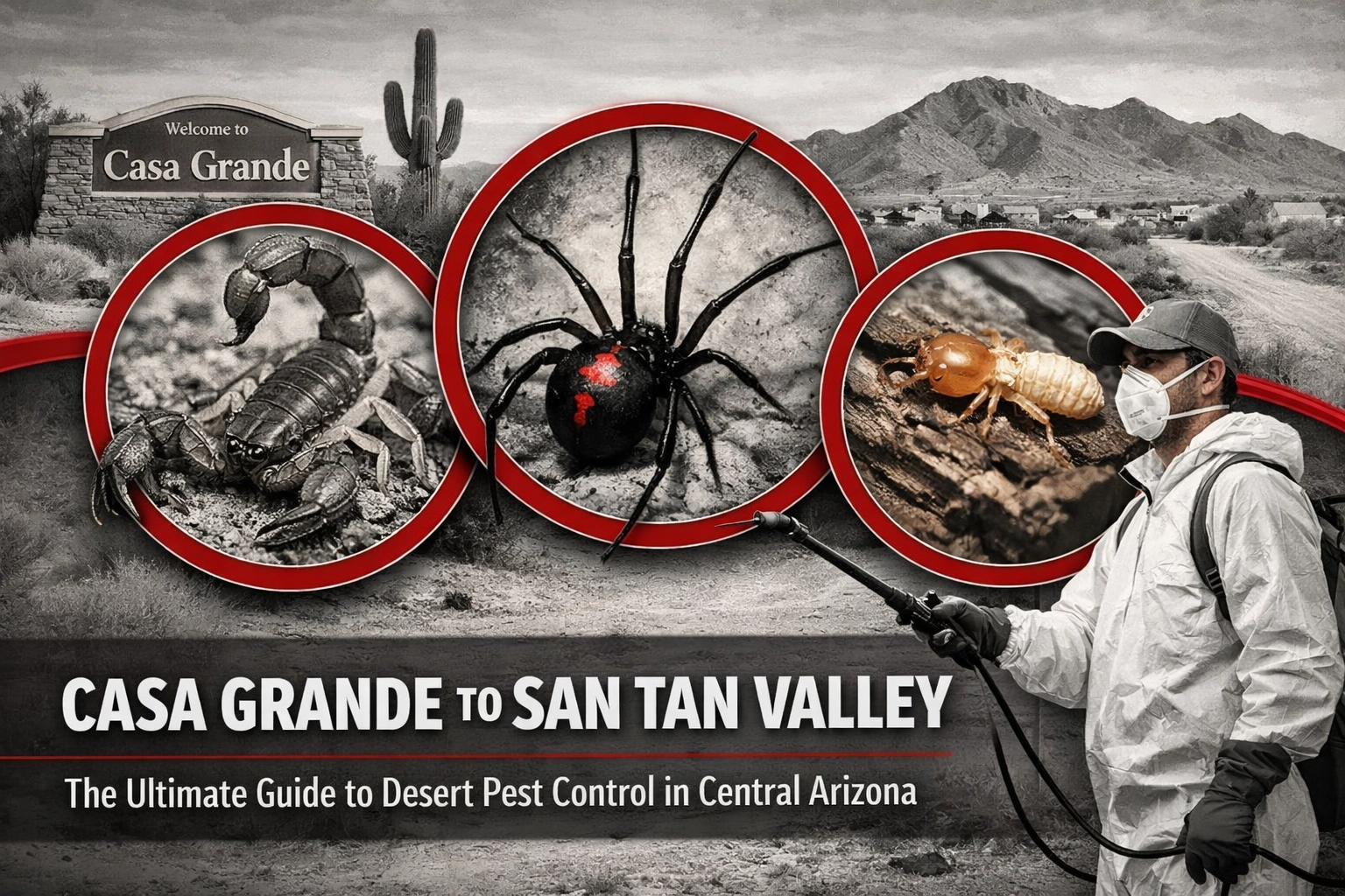 [HERO] Casa Grande to San Tan Valley: The Ultimate Guide to Desert Pest Control in Central Arizona