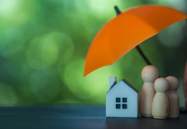 Family Asset Protection