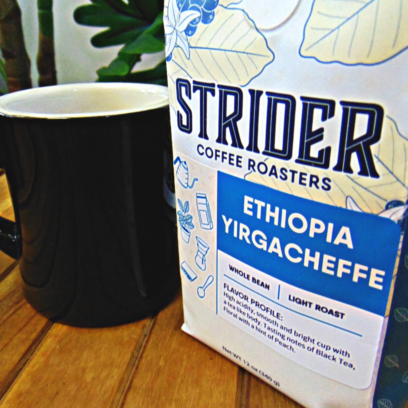 Strider Coffee Roasters Ethiopia Yirgacheffe