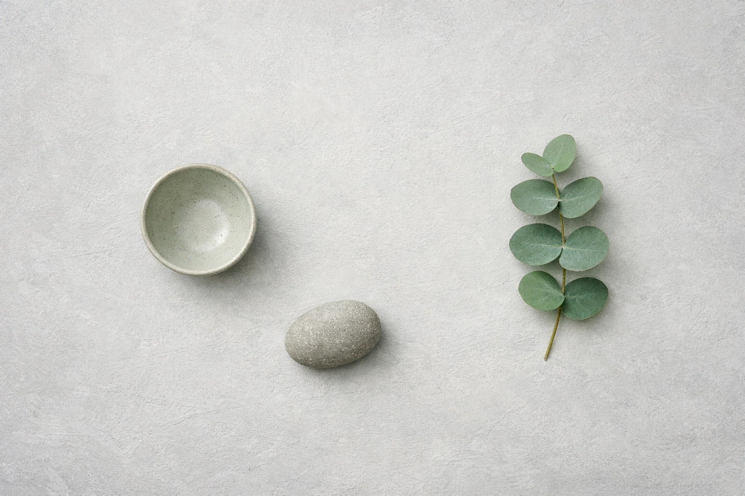 Natural stone and eucalyptus sprig representing holistic healing and somatic wellness support.