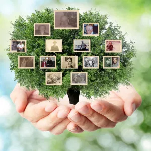 A pair of hands gently holds a lush family tree, featuring framed vintage and modern photographs of ancestors and relatives among the branches