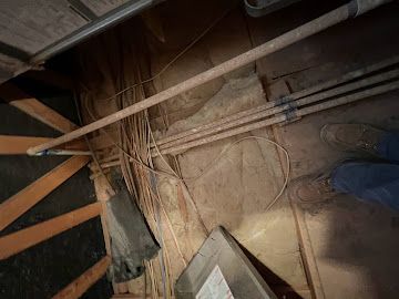 Attic inspection showing potential pest entry points and insulation concerns