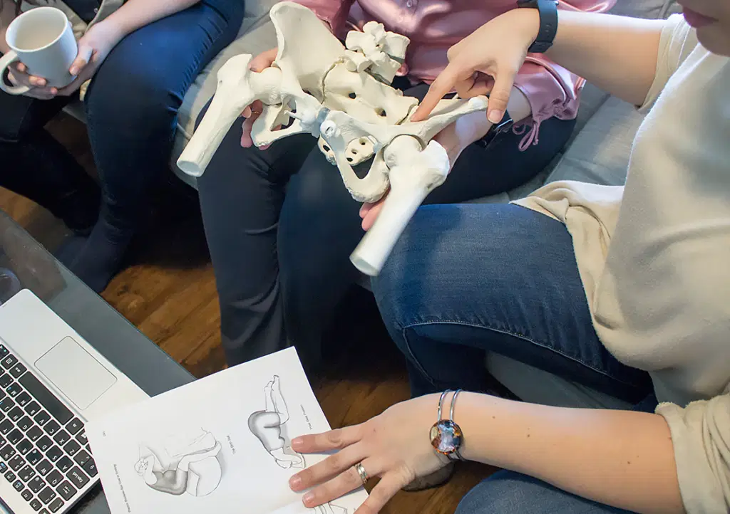A doula guides a prenatal education session, using a pelvic model and childbirth position diagrams to explain the birthing process.