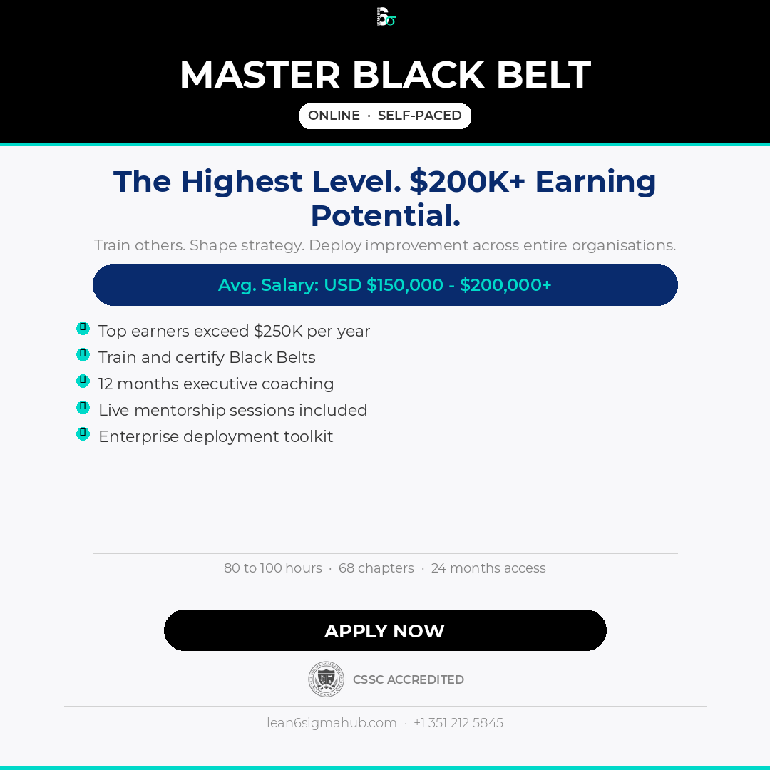 Master Black Belt certification course