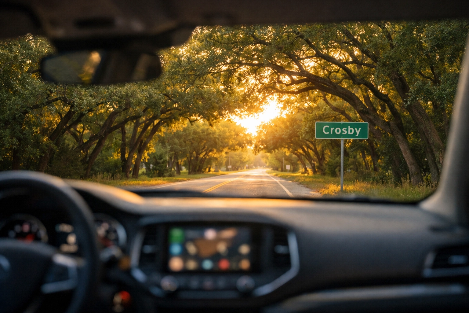 A peaceful, tree-lined road in Crosby TX seen from a car during a stress-free commute from Houston.