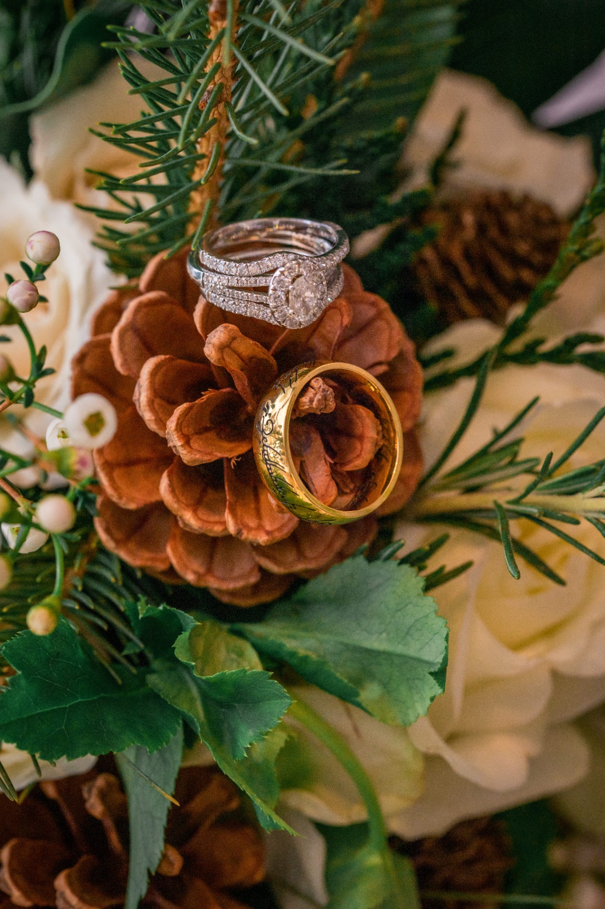 Wedding rings on a pine cone