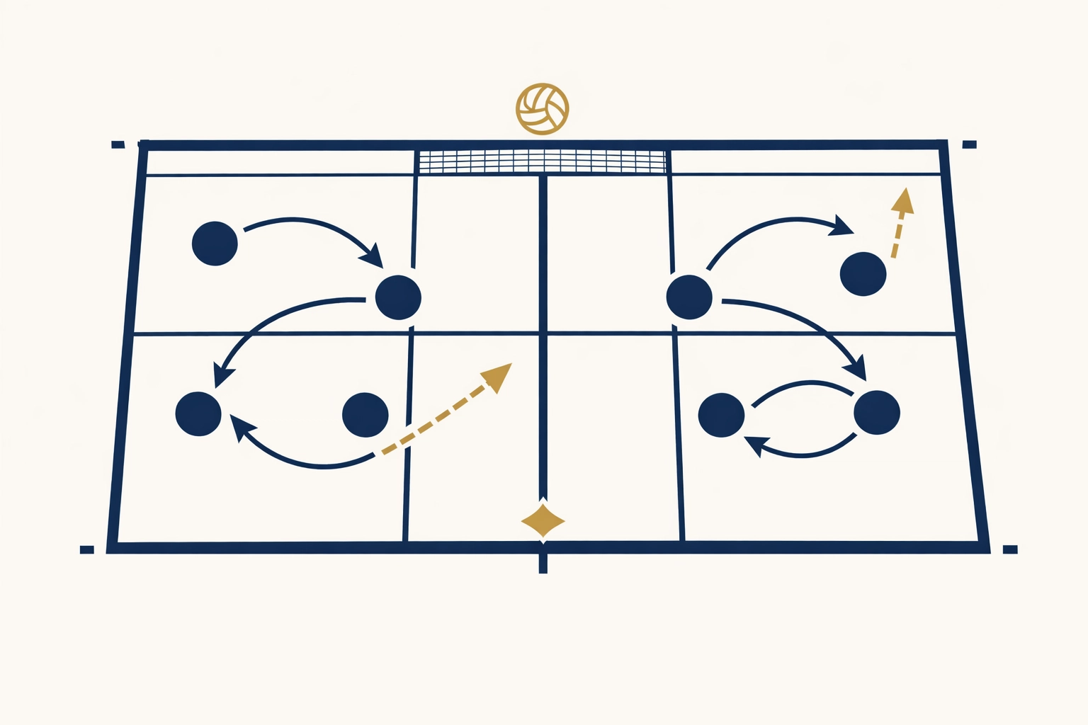 Volleyball court diagram illustrating team strategy and player development