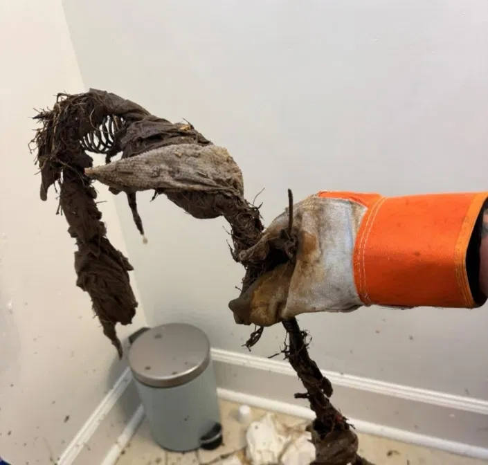 plumber-massive-root-wipe-clog-drain-line.webp