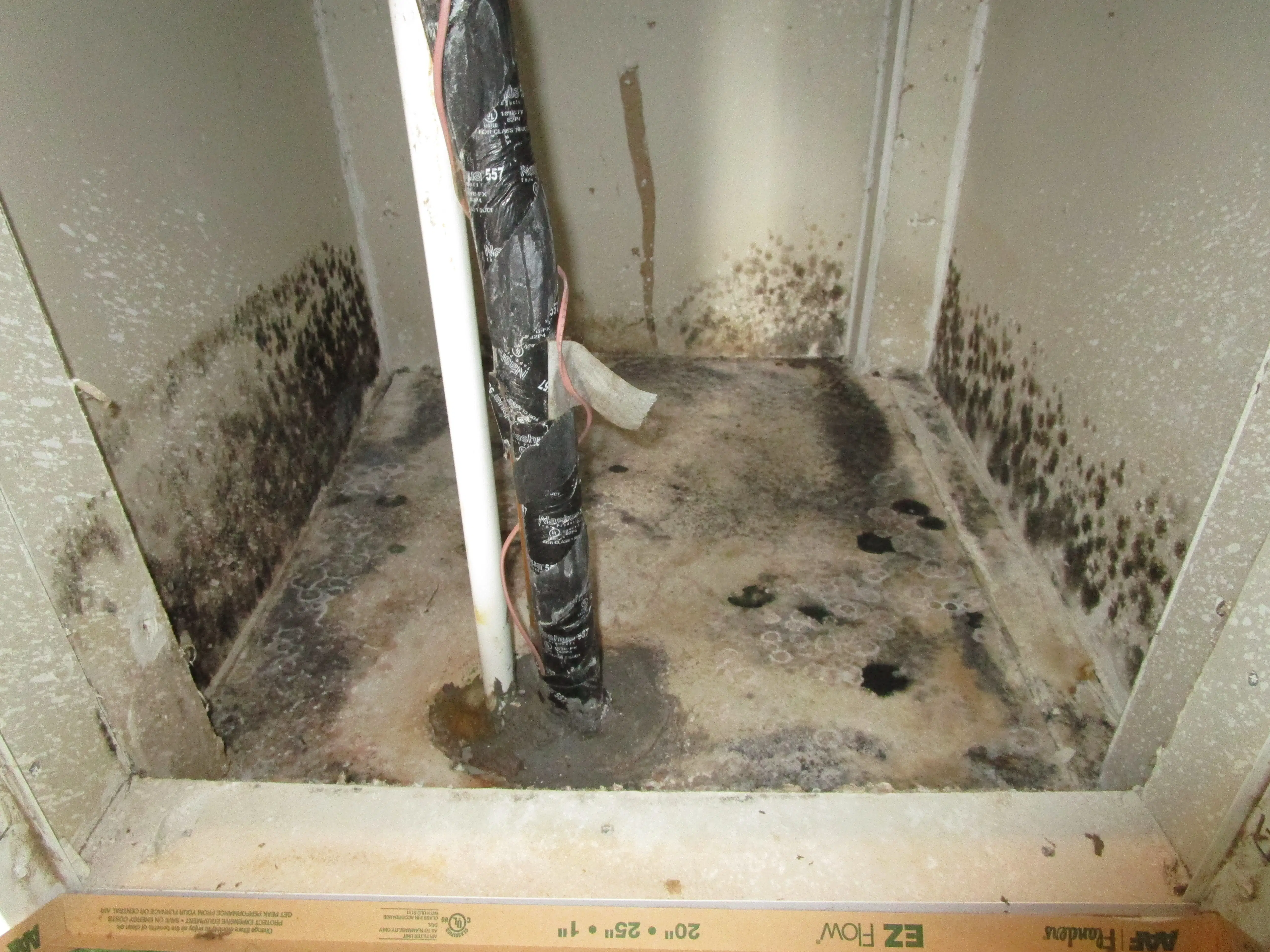 Extensive mold contamination found in an HVAC closet