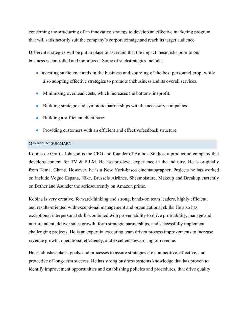 Anibok Studios' Business Strategies Document