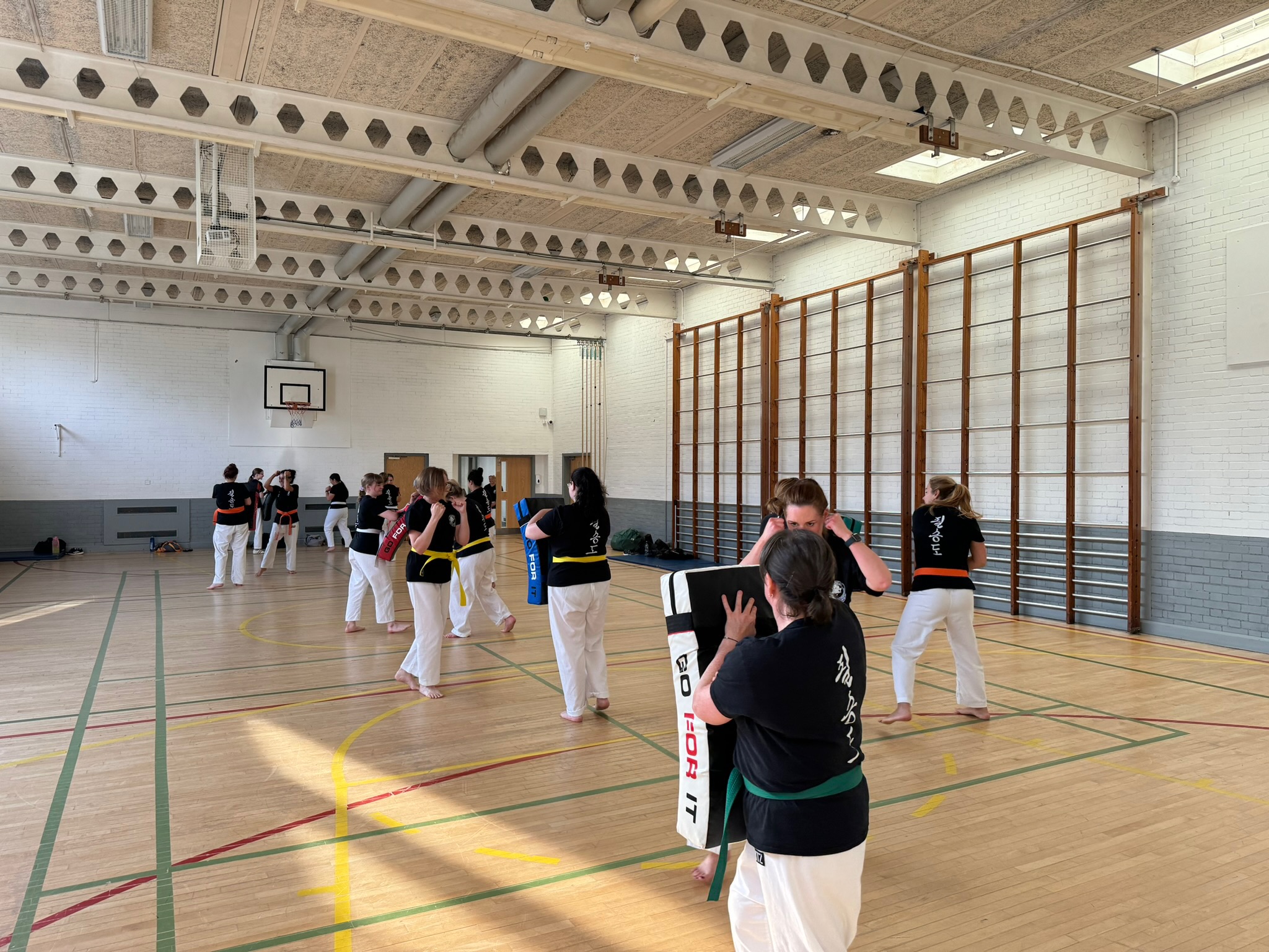 A group of women in martial arts uniforms and coloured belts practice striking and pad work