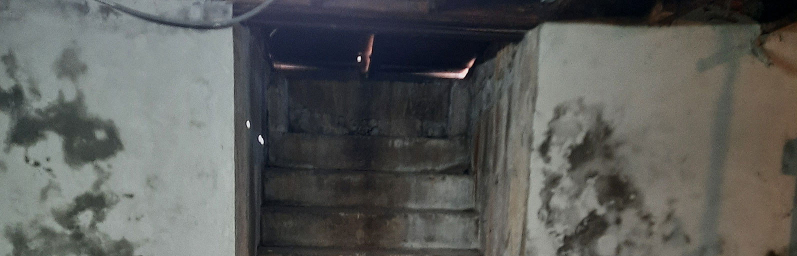 basement-stairwell-mold-growth-concrete-walls.jpg