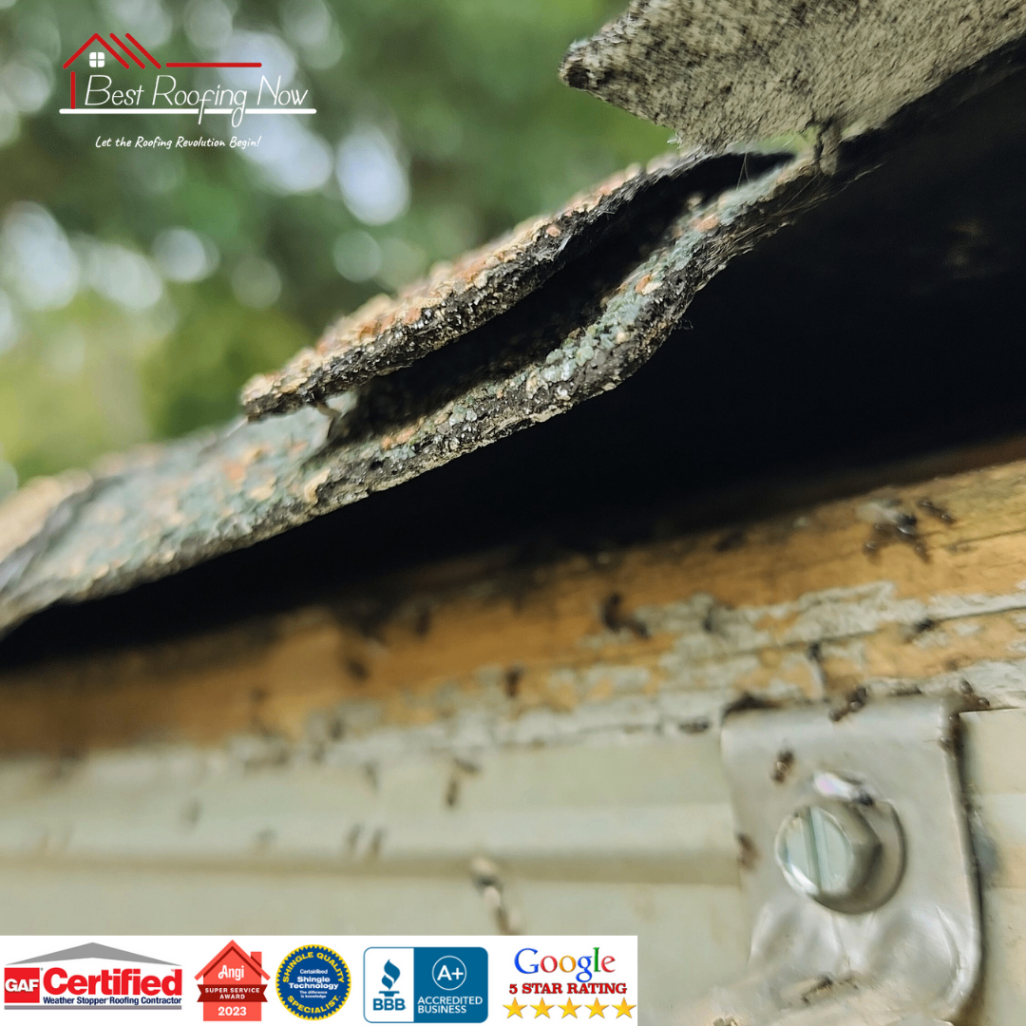 Damaged Roof Shingles Close-Up