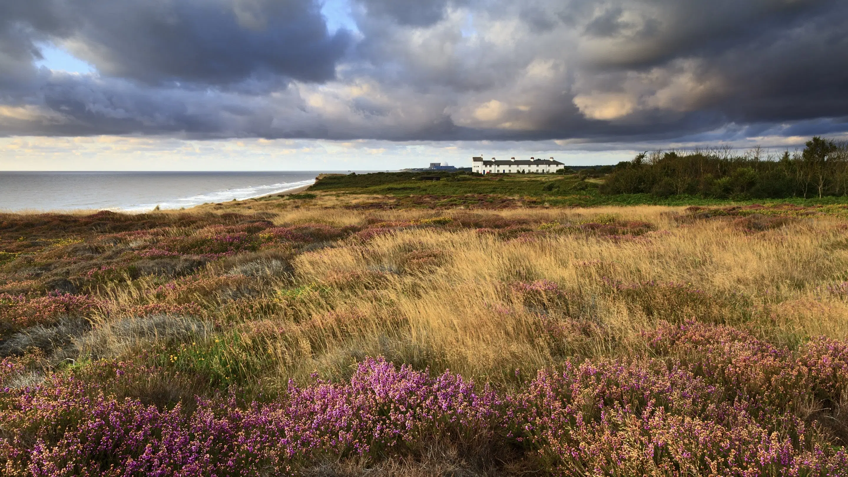 Dunwich Heath and Beach scenic view