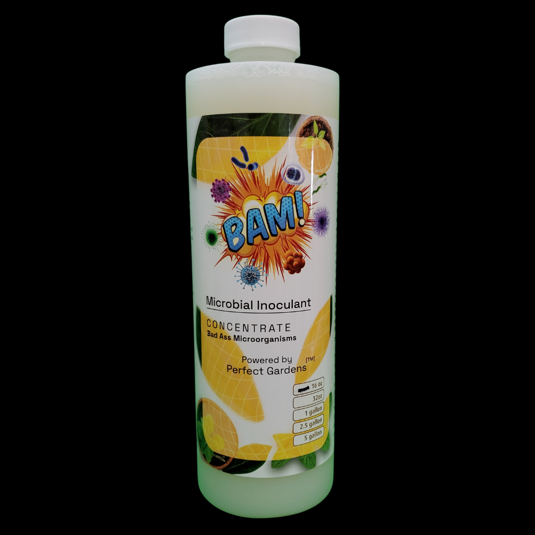 32oz - BAM! Microbial Inoculant Concentrate