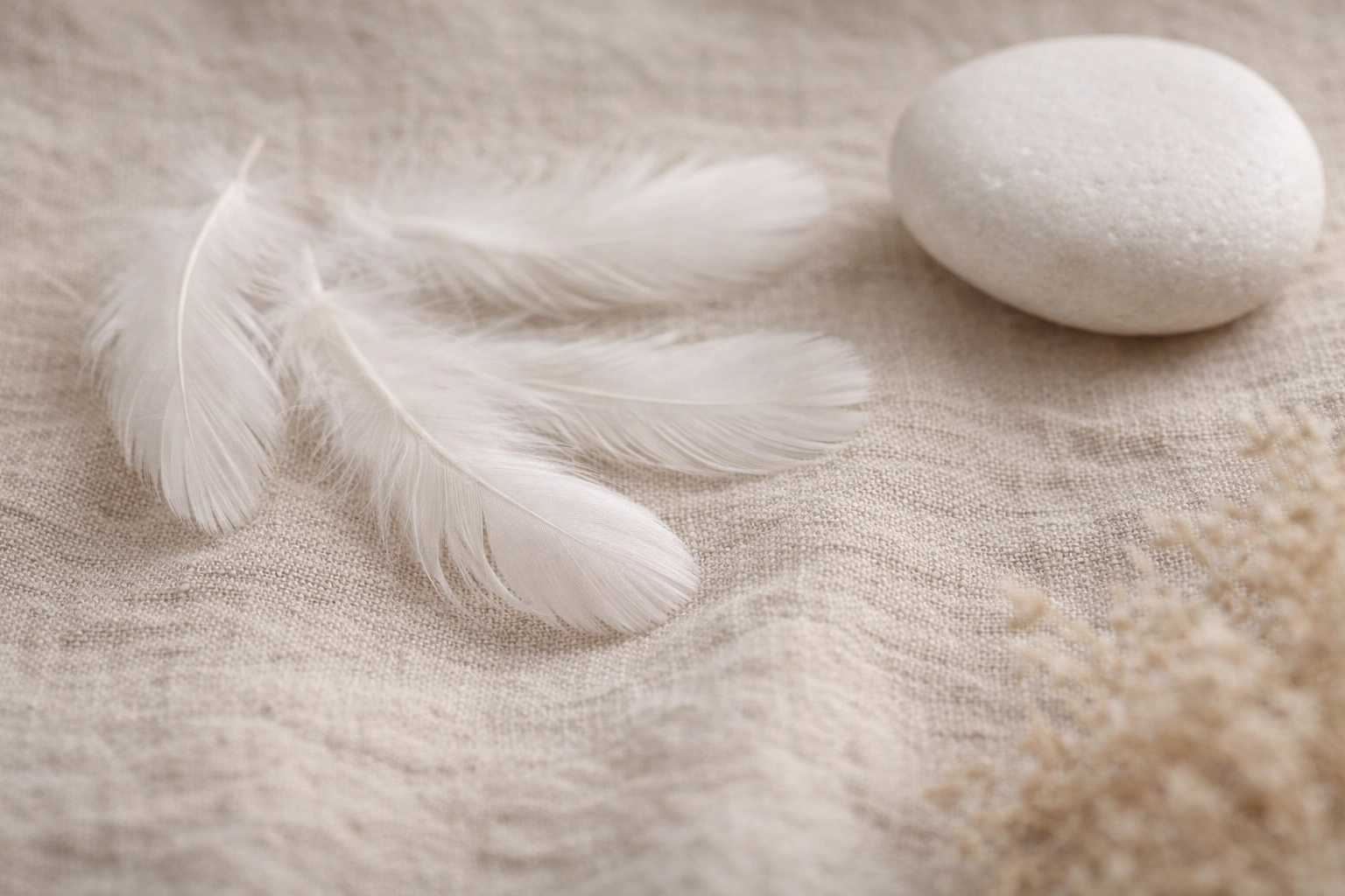 Healthy strong nails with horsetail plant demonstrating natural beauty benefits