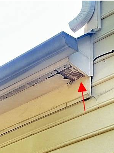 Damaged fascia and soffit under gutter