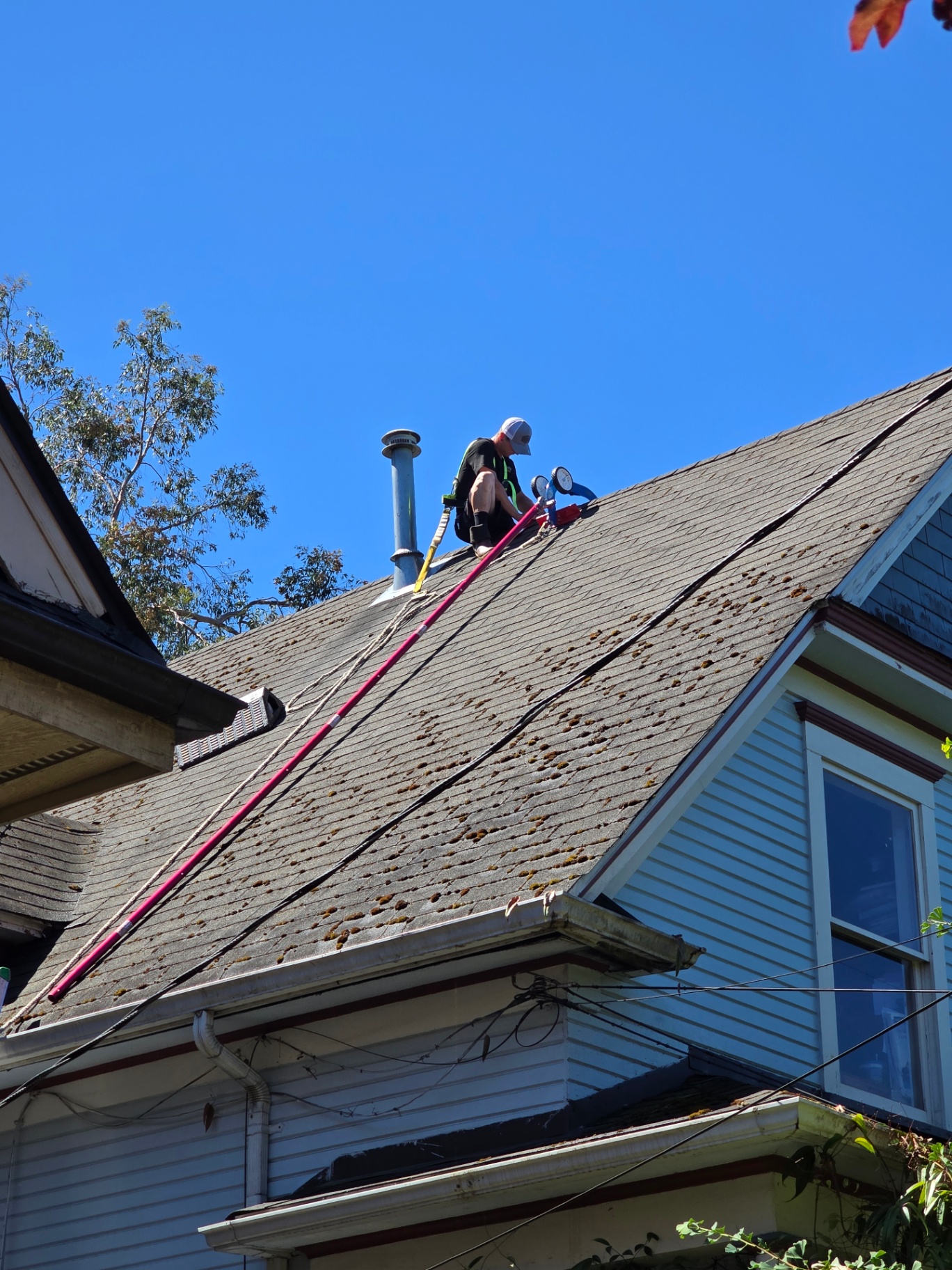 Technician performing RoofRX soft wash