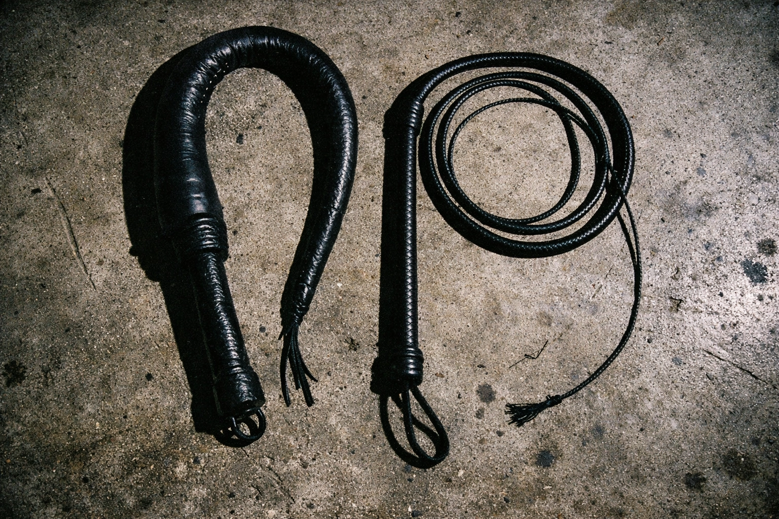 How To Use A Whip: A Professional Upgrade