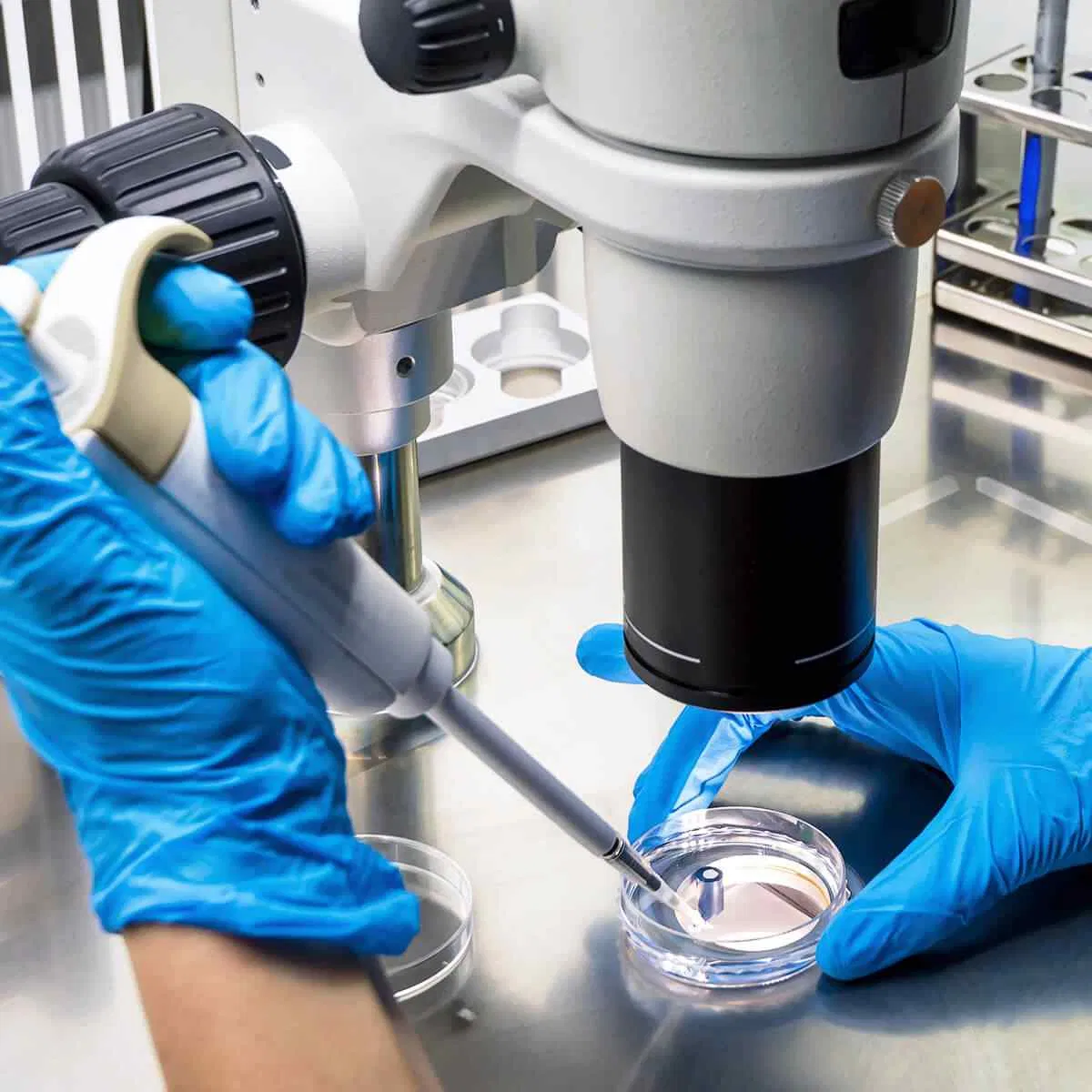 Laboratory technician utilizing a pipette to transfer liquid into a petri dish, demonstrating the rigorous R&D and precise formulation standards maintained in a GMP-certified facility.