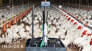 Mobile Farm Robot in Poultry House