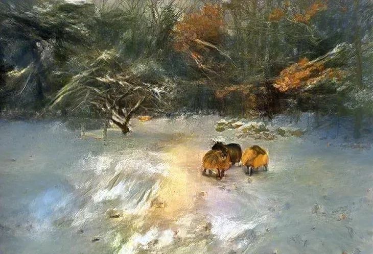 Icelandic Sheep at Scalise Family Sheep Farm