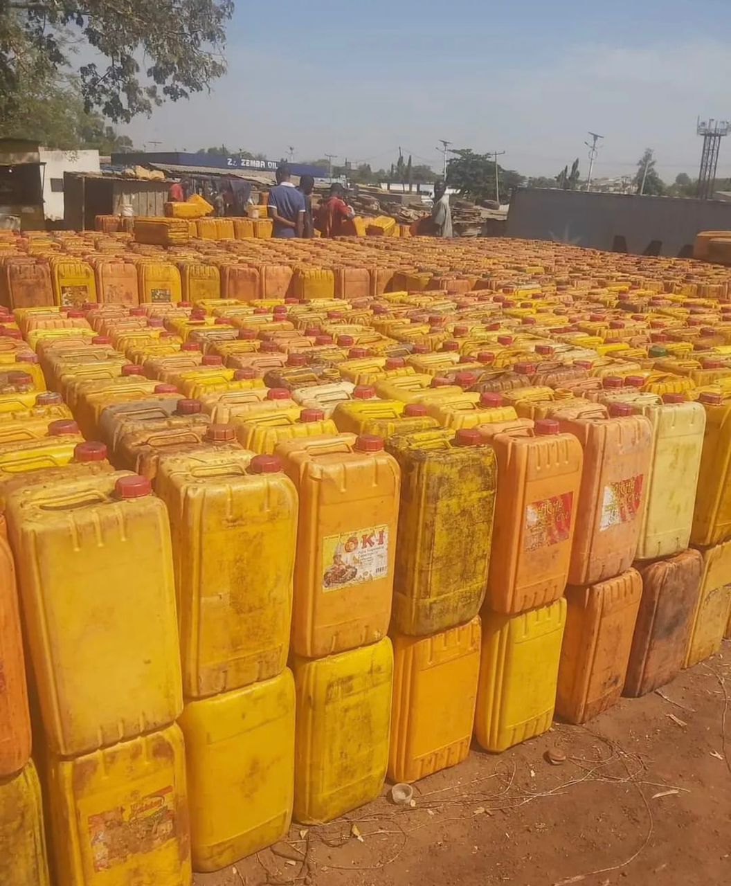 Bulk palm oil containers ready for export