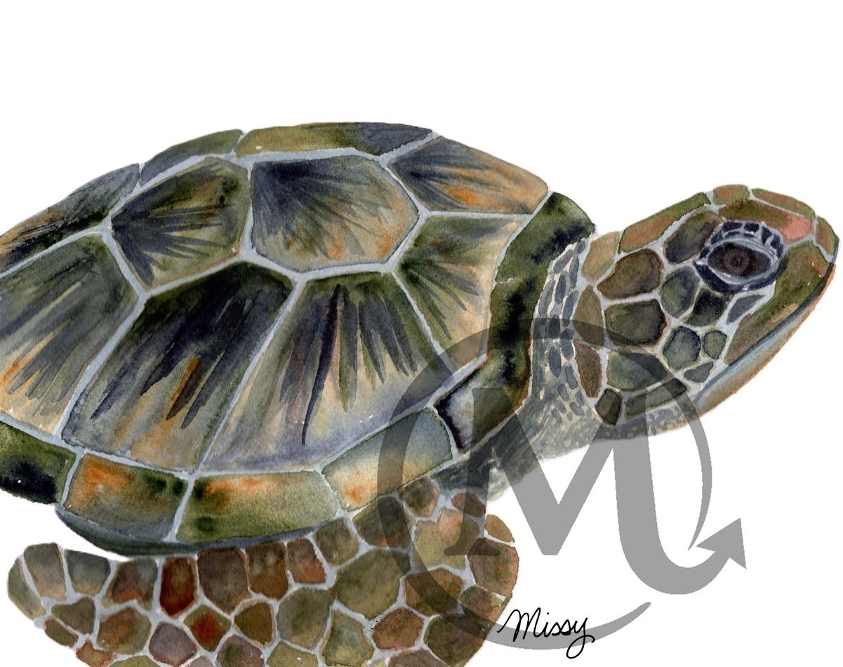 Shelly the Turtle original watercolor print by Missy displayed in a mockup frame with watermark intact
