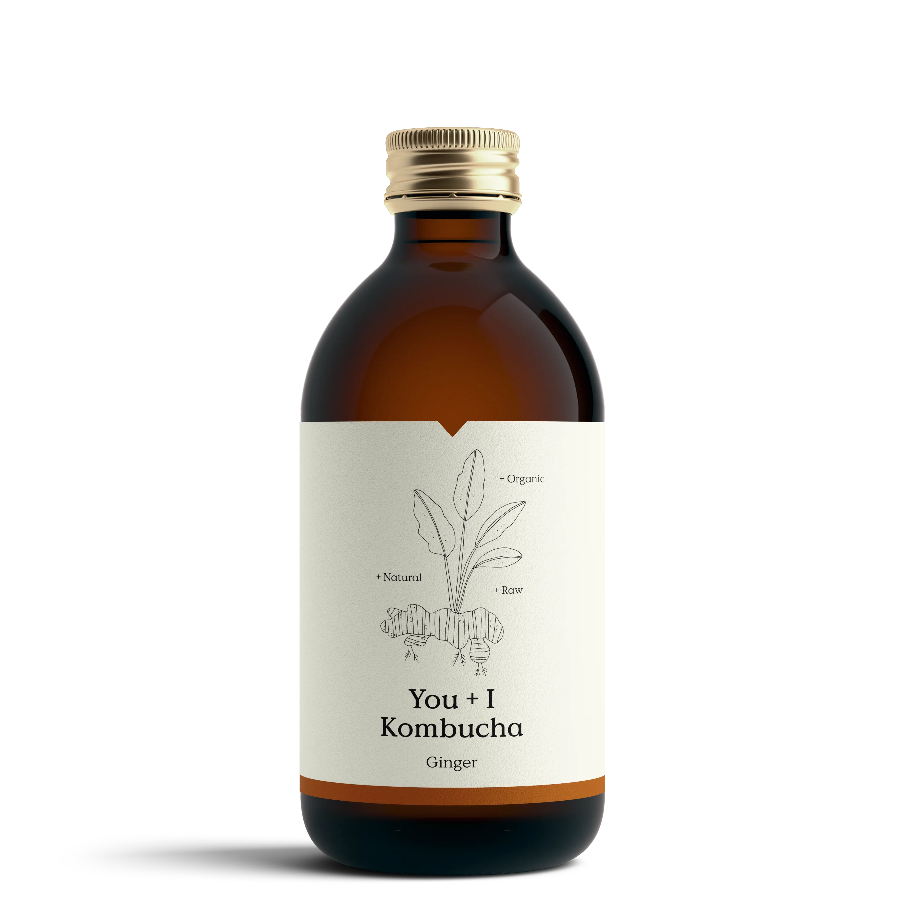 You + I Kombucha Ginger at Functional Drinks Club in Otley