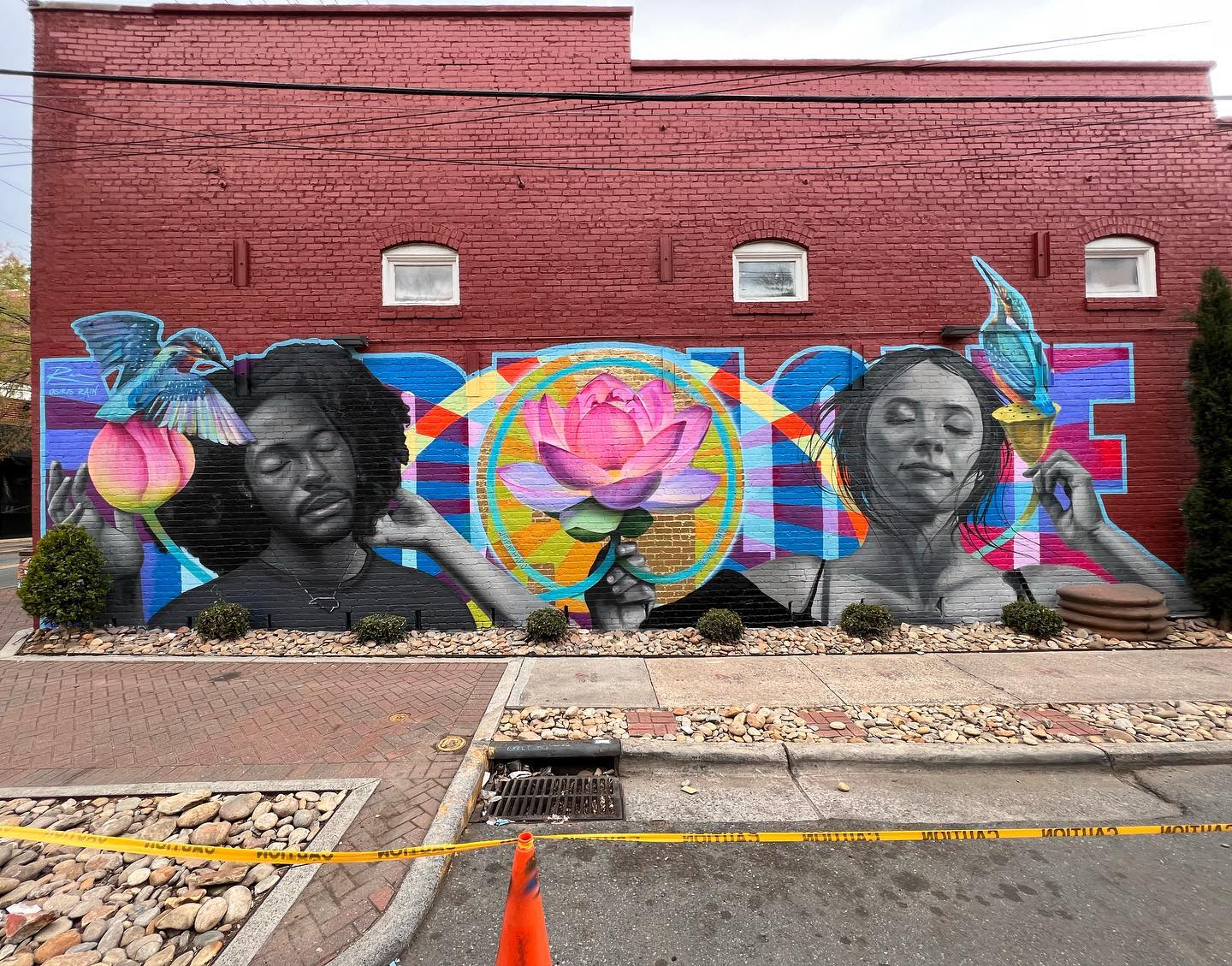 Bloom mural in an outdoor public space