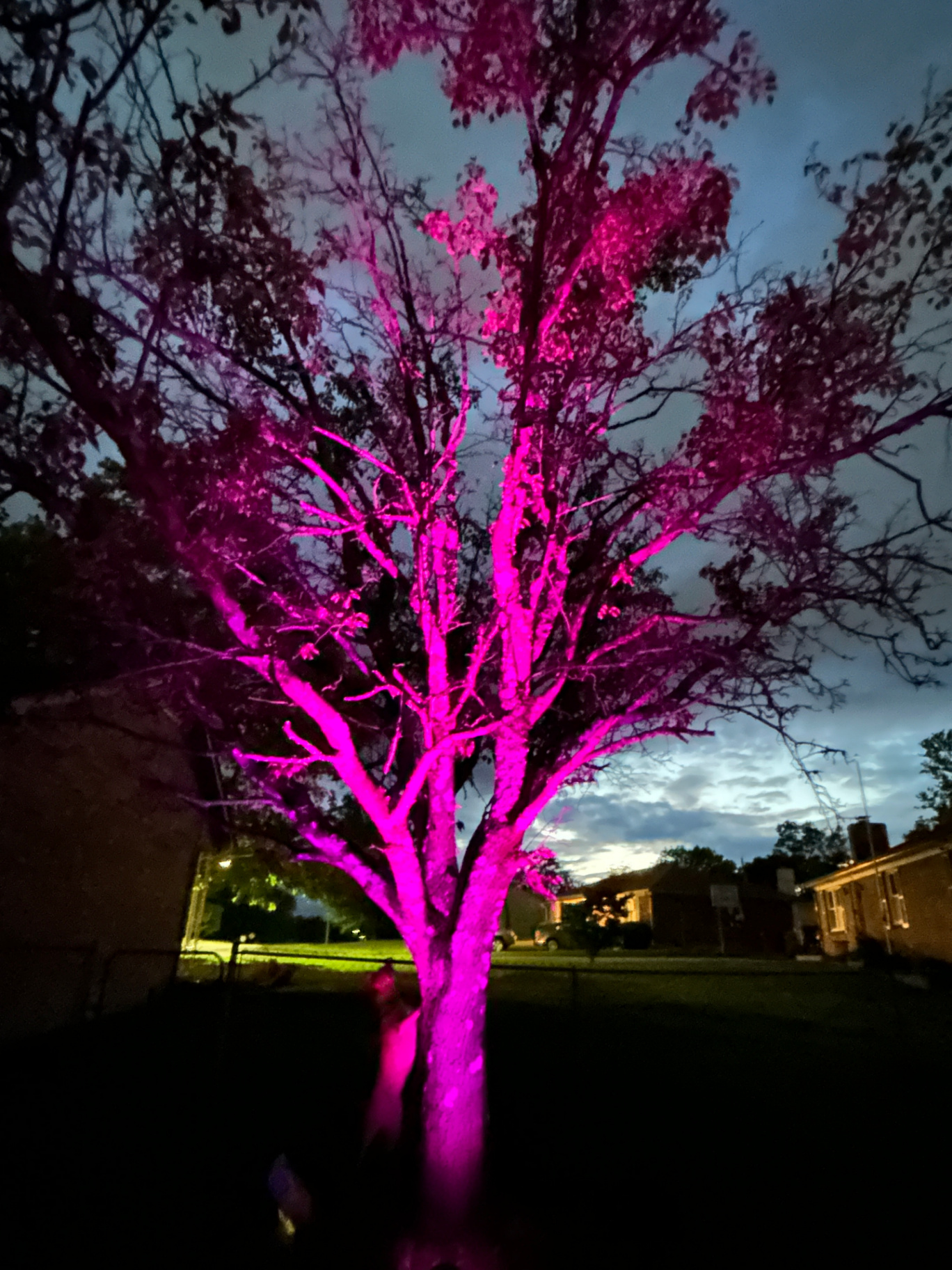 Custom low-voltage lighting that remains hidden during the day