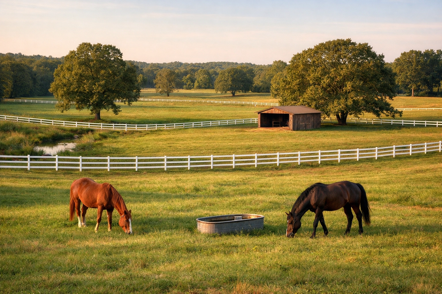 Horses grazing in rotational pastures with white board fencing on North Carolina horse property