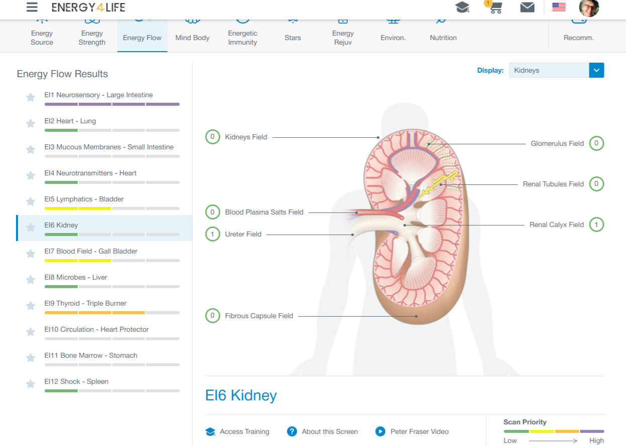 Kidney Energy Flow Screen used in practitioner assessment.
