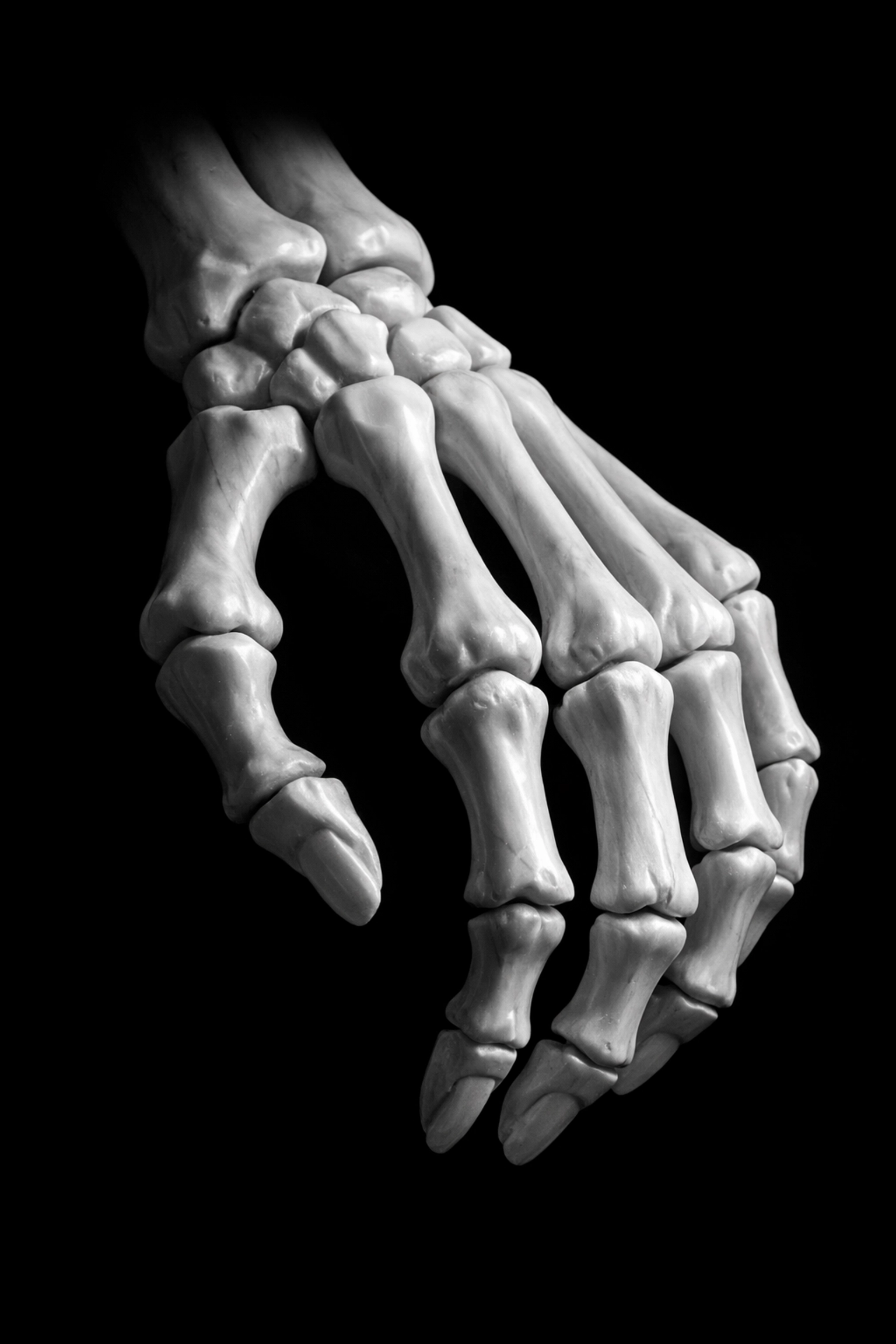 Detailed view of human hand skeletal structure representing bone density and health in nutritional studies.