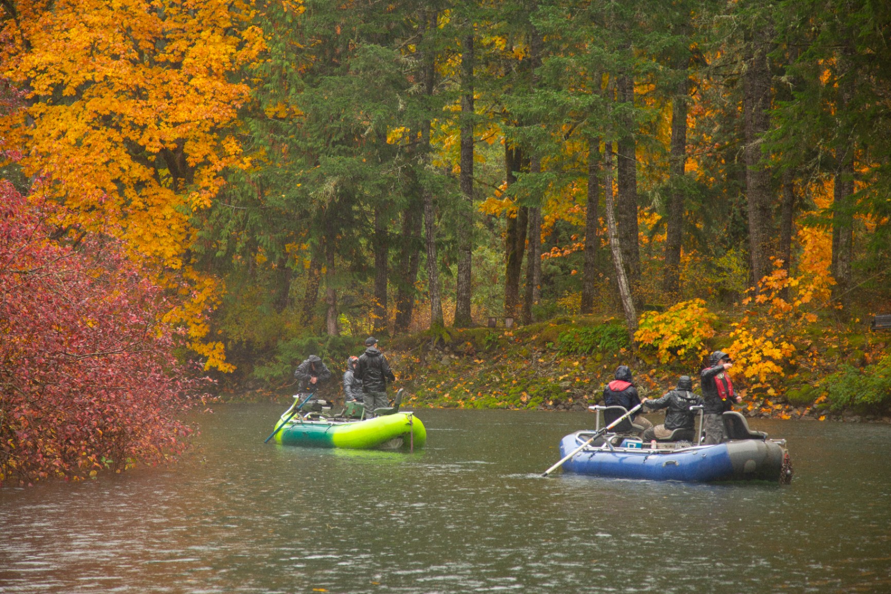 Cowichan River experience