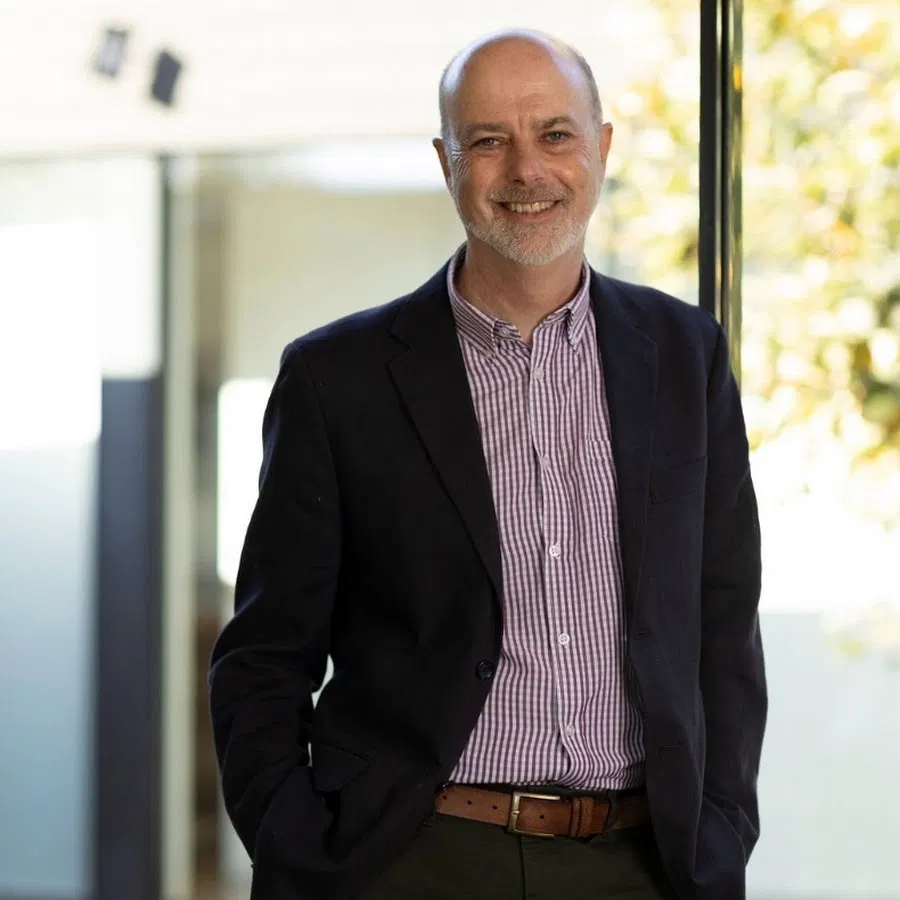 Professional Adviser in Office