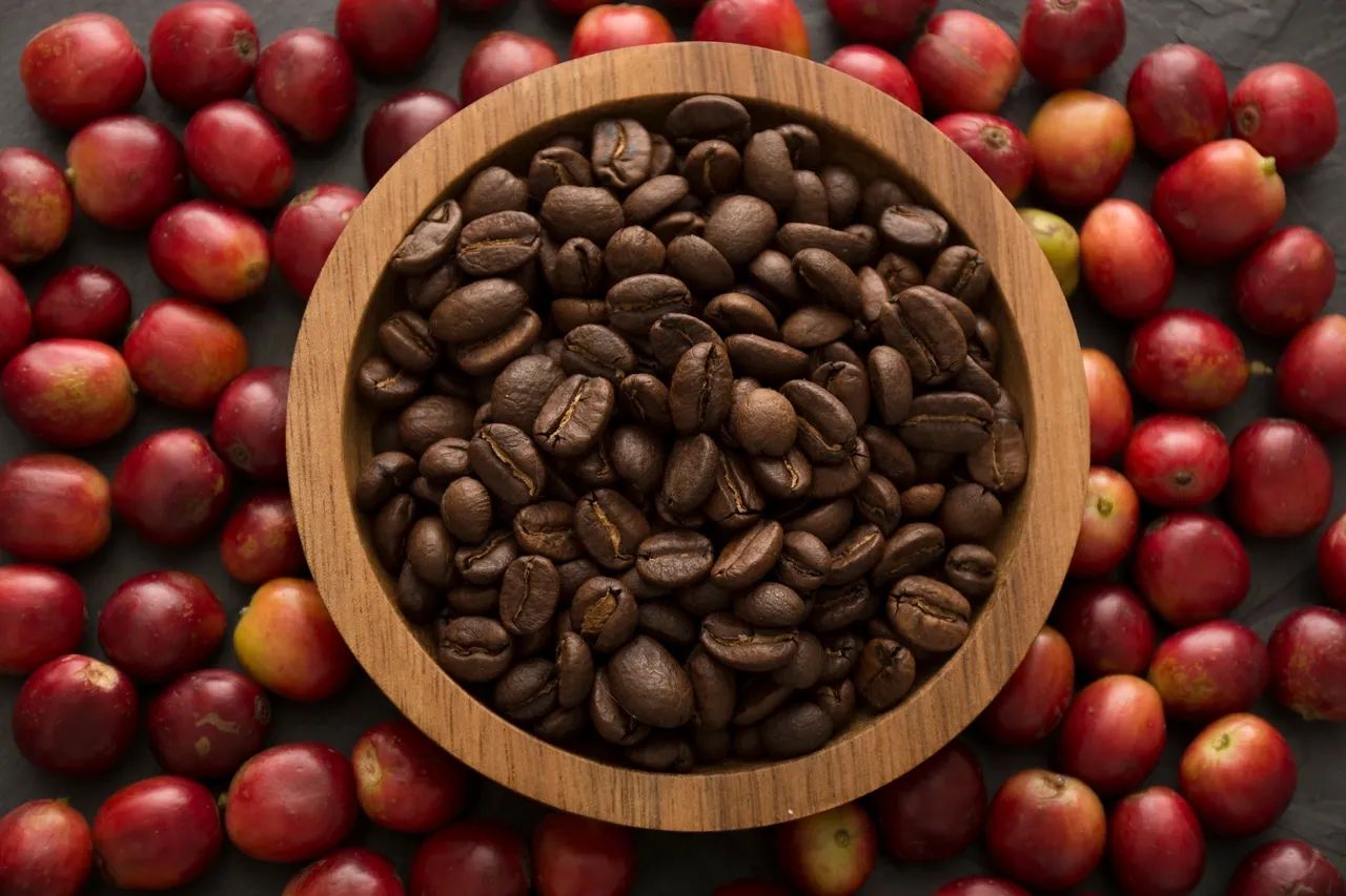 Artisanally Roasted Colombian Coffee Beans Bowl