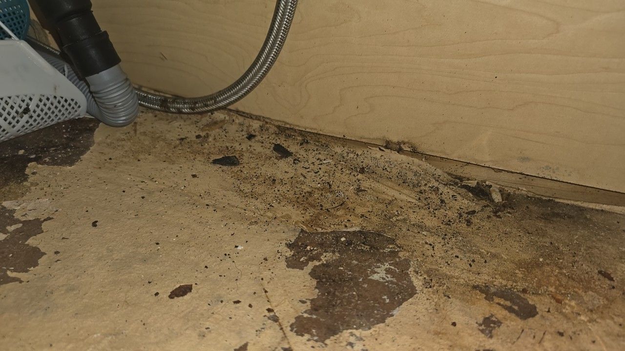 Evidence of water damage and moisture buildup under a sink