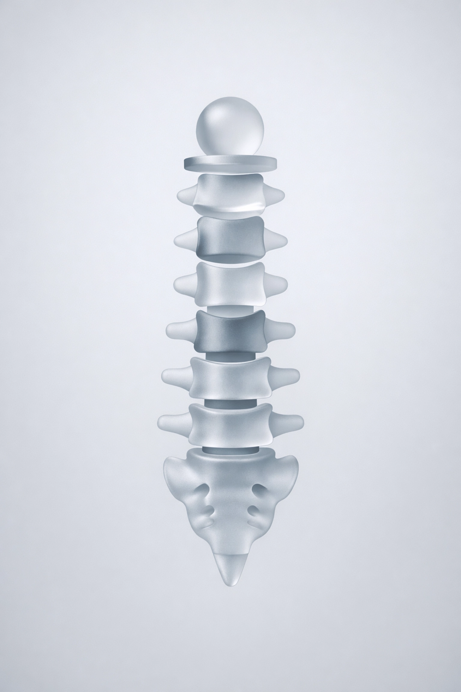 Abstract spinal column design illustrating the structured metadata and content hierarchy required for chiropractic SEO.