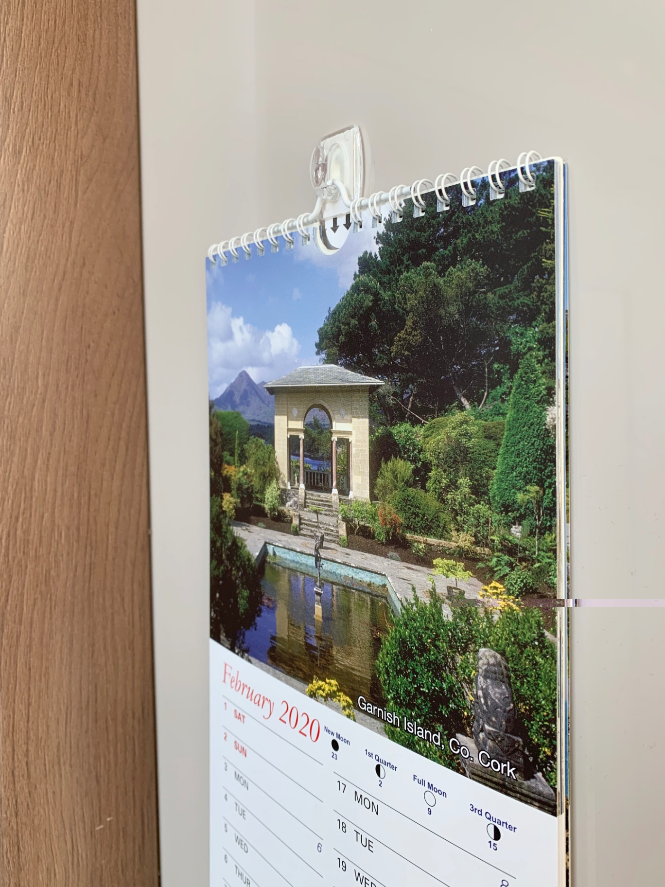 Wall Calendar Hung with Transparent Takker Accessory Hook